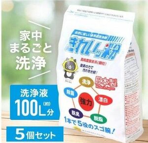 れもんキレイ きれいッ粉 過炭酸ナトリウム 1kg×5個セット