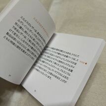 エルメス　テキスタイル　説明書　2冊　textiles HERMES 冊子　バッグ_画像4