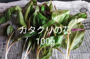 岩手県産　天然　カタクリの花　100g
