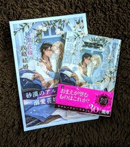 4月新刊【砂漠のアルファ王と純潔花嫁の政略結婚】墨谷佐和/二駒レイム=小冊子付=シャレード文庫_画像1