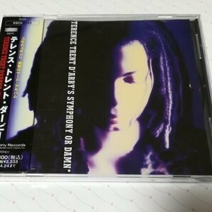 TERENCE TRENT D'ARBY 「SYMPHONY OR DAMN シンフォニー・オア・ダム」 日本盤 CD 93年盤 帯・解説書あり テレンス・トレント・ダービーの画像1