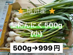 ② 葉にんにく（小）500g 長野県産　信州　産地直送