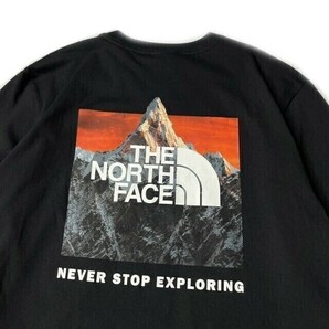 1円～!売切!【正規新品】THE NORTH FACE◆L/S BOX NSE TEE 長袖 Tシャツ ロンT US限定 ボックスロゴ バックプリント(L)黒 180902-20の画像4