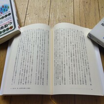 京都産業大学　経済学部　大学教科書　「アメリカ史　下」紀平栄作編　山川出版社_画像4