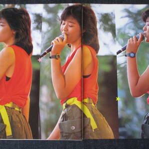 □切り抜き「菊池桃子」18ページ 昭和 雑誌 アイドル 歌手 当時物の画像2