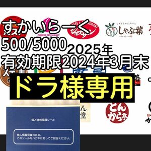 17 ★ドラ様専用保護シートす か い ら ー く　500/5000有効期限2025/03/31