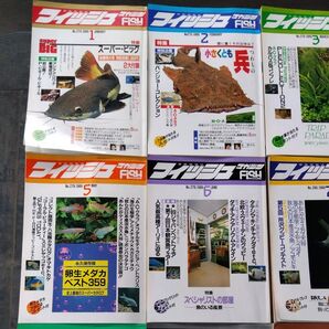 観賞魚 月刊誌 ディスカス、アロワナ フィッシュマガジン 昭和→平成移行 1989年1月から12月迄の1年分まとめ売り!
