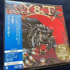 ブラックタイガー （紙ジャケット仕様） Ｙ＆Ｔ　初回生産限定盤