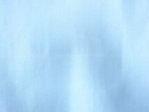 ys6984393; 宗sou 橋に樹木風景模様織出し袋帯（材料）【アンティーク】【着】_画像7