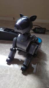 *SONY AIBO ERS-210 корпус, зарядка стойка, клетка .. Aibo, проспект, изначальный с коробкой *