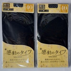チュチュアンナ 40デニール 黒　 タイツ