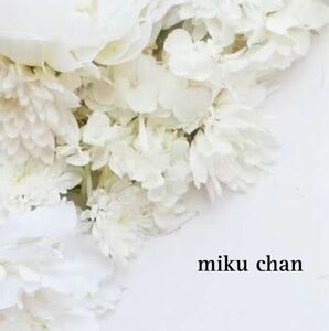 miku chan