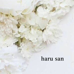 haru san