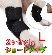 ２ヶセット犬用サポーター【ショート】プロテクター 怪我 リハビリ 舐め防止 関節炎 足 膝 術後 高齢犬 老犬 ペット ケア YWQ1925_画像1