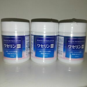 【3個セット】ワセリンHG 100g 白色ワセリン 大洋製薬