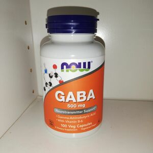 GABA 500mg ビタミンB6配合 100カプセル ギャバ NOW Foods ナウフーズ