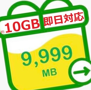 即日対応 匿名 mineo 約10GB(9999MB) マイネオ パケットギフト