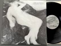 SLEEPERS PAINLESS NIGHTS 米ADOLESCENT Orig LP '81 TUXEDOMOON JOY DIVISION STOOGES_画像1