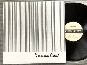 HARRY BERTOIA SONAMBIENT CONTINUUM/NEAR AND FAR 米Orig LP ハリー・ベルトイア サウンドアート 音響彫刻 ノイズ