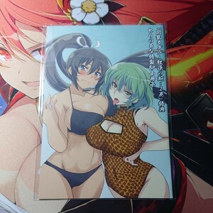 閃乱カグラ 紅蓮の花 とらのあな 特典 リーフレット 小冊子 2巻　ブロマイド　イラストカード　ポストカード