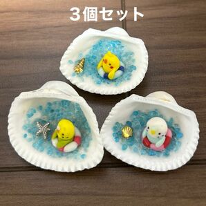 貝殻アート　セキセイインコ　オカメインコ　3点セット置物　オブジェ