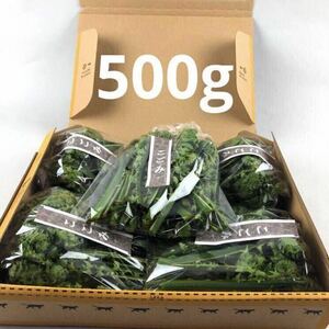 こごみ5セット【新潟県十日町市産】500g(100g×5)