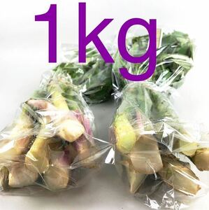 ●うど●１ｋg＝1000g【新潟県十日町市産】★60㎝前後のうど②