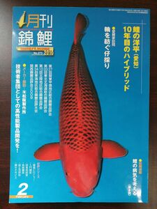 月刊 錦鯉 ／2010年2月号 No.273／鯉の洋平（愛知）10年目のハイブリッド ／錦彩出版／松阪製作所