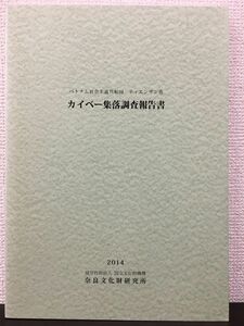 ベトナム社会主義共和国　ティエンザン省　カイベ― 集落調査報告書　奈良文化財研究所