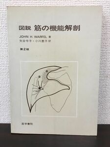 図説 筋の機能解剖 第2版／ 1978 ／John H.Warfel／医学書院【書き込み有】