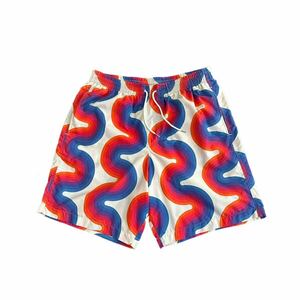 19ss Dries Van Noten ドリスヴァンノッテン Verner Panton ヴェルナーパントン ハーフパンツ ショーツ ラフシモンズ 水着 スイムウェア