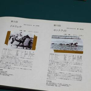 日本ダービー馬全集 テレホンカード 50度数×56枚  額面28000円 優駿 未使用 テレカ まとめての画像3
