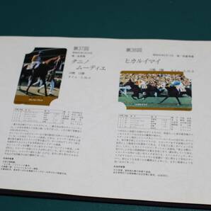 日本ダービー馬全集 テレホンカード 50度数×56枚  額面28000円 優駿 未使用 テレカ まとめての画像6