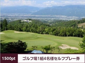 [1500pt]シャトレーゼ ゴルフ場 1組4名様セルフプレー券 プレーチケット 複数在庫