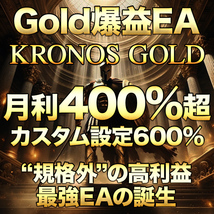 ※残り10名 新作EA【規格外の利益】月利400~600% 30名先行無料提供 /EA/投資/FX/コピートレード/資産運用/副業/自動売買ツール　_画像2