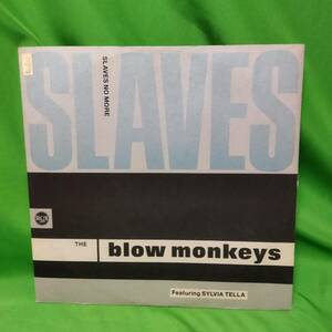 12' レコード The Blow Monkeys Featuring Sylvia Tella - Slaves No More