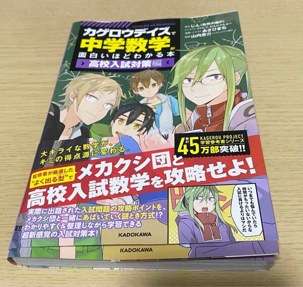 「カゲロウデイズ」で中学数学が面白いほどわかる本　高校入試対策編 じん（自然の敵Ｐ）