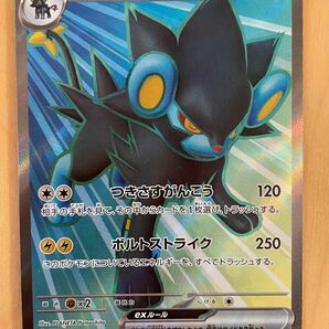 【早い者勝ち】ポケモンカード　変幻の仮面　レントラー SR