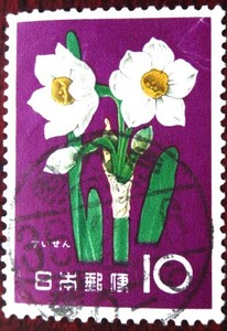 □S36　花スイセン　国分寺36.4.6　　使用済み切手満月印　　　　　　　　　　　　　　 　　　　　　　　　　　　　　　　　　　
