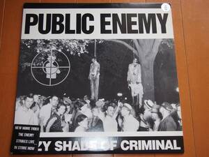 ＰＵＢＬＩＣ　ＥＮＥＭＹ　ＨＡＺＹ　ＳＨＡＤＥ　ＯＦ　ＣＲＩＭＩＮＡＬ　１２インチ