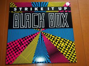 ＢＬＡＣＫ　ＢＯＸ　ＳＴＲＩＫＥ　ＩＴ　ＵＰ　１２インチ