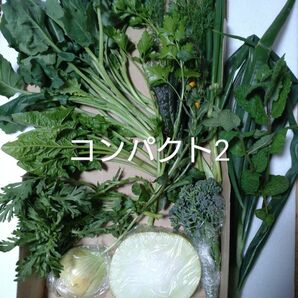 野菜セットコンパクト