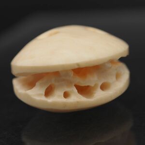 Y798 1 jpy Zaimei light month work natural material . clam is ... type design netsuke .. thing era thing 