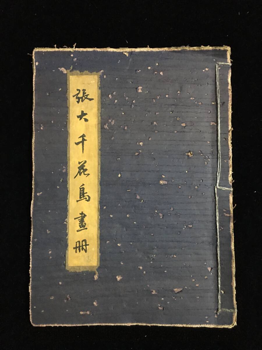 Ehemalige Sammlung antiker Gemälde [Chinesischer moderner und zeitgenössischer Nationalmaler Zhang Daiqian] Blumen- und Vogelgemälde, rein handbemalt, Malbuch, Xuan-Papier, detaillierte Malerei, alte chinesische Köstlichkeiten, antike Kunst L0417, Kunstwerk, Malerei, Andere