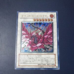 遊戯王 ブラックローズドラゴン レリーフ