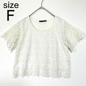 Heather　ヘザー　花柄　総レース　トップス　半袖　カットソー　Tシャツ　F