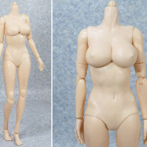 1/6 未使用女性素体 巨乳タイプ軟質外皮 白肌 03の画像2