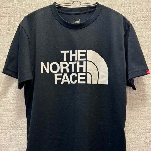 ノースフェイス THE FACE NORTH Tシャツ