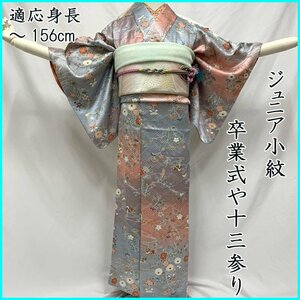 ■小紋 十三参り ジュニア 着物&袋帯 鴛鴦 菊 流水■美品 404aj5