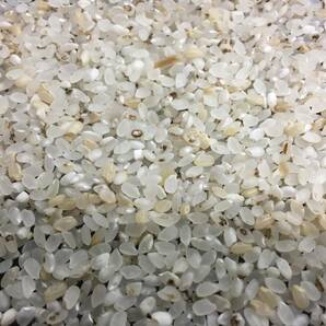 くず米 ２４ｋｇ 鳥のエサ・ペットの餌に 送料込（九州・沖縄不可）の画像3